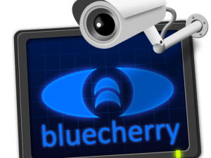 Bluecherry personal / small business support license