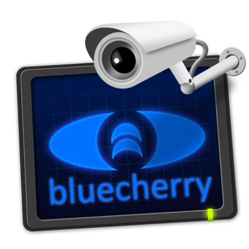 Bluecherry Version 3 perpetual license (per camera)