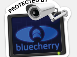 Bluecherry - 'Protected by' 3 inch x 3 inch weatherproof vinyl sticker (Includes shipping)